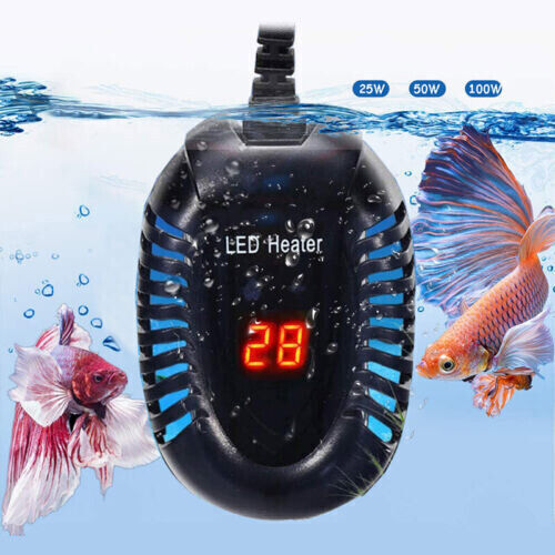 Led digital aquarium - digital,